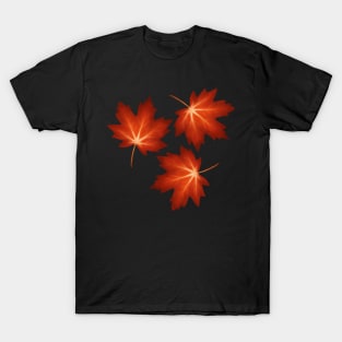 Autumn Maple Leaves T-Shirt